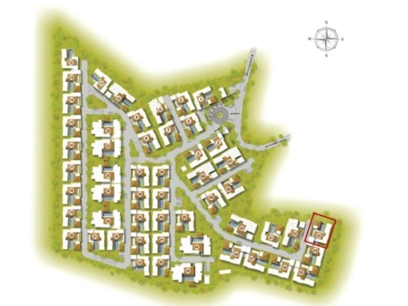 TNL-124-IMG_008